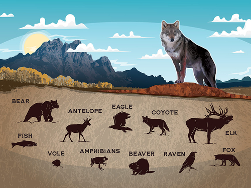 Image of a wolf in a mountain landscape with silhouettes of other animals below.